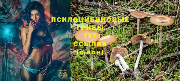 бутират Куйбышев