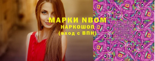 стафф Козельск