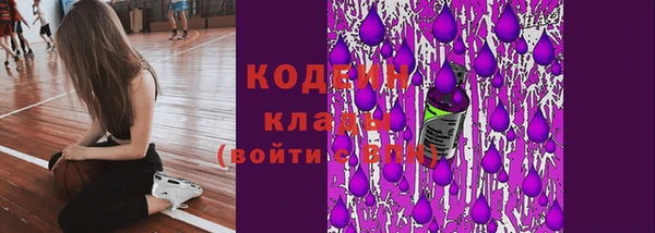 гидропоника Коряжма