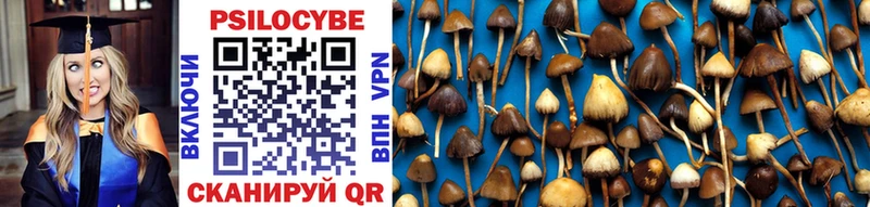 Галлюциногенные грибы Psilocybine cubensis  дарк нет как зайти  Котовск  blacksprut маркетплейс 